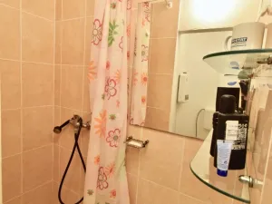 Pronájem bytu 1+kk, Brno - Staré Brno, Náplavka, 20 m2