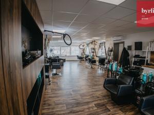 Prodej komerční nemovitosti, Opava, Rolnická, 90 m2