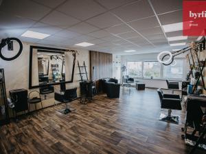 Prodej komerční nemovitosti, Opava, Rolnická, 90 m2