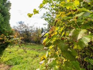 Prodej zahrady, Horní Lhota, 530 m2