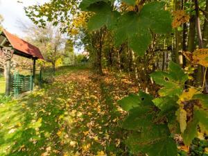 Prodej zahrady, Horní Lhota, 530 m2