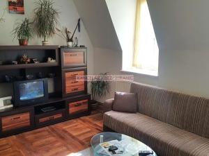 Pronájem bytu 1+kk, Liberec, Šlikova, 26 m2