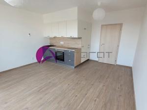 Pronájem bytu 1+kk, Olomouc, Šantova, 34 m2