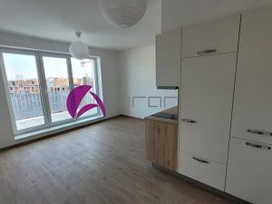 Pronájem bytu 1+kk, Olomouc, Šantova, 34 m2