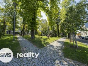 Pronájem bytu 2+1, Ostrava, Olbrachtova, 57 m2