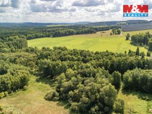 Prodej komerčního pozemku, Přimda - Mlýnec, 238031 m2