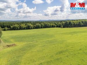 Prodej komerčního pozemku, Přimda - Mlýnec, 238031 m2