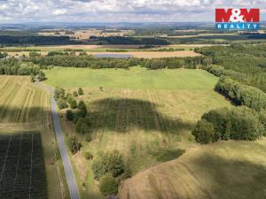 Prodej komerčního pozemku, Přimda - Mlýnec, 238031 m2