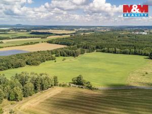 Prodej komerčního pozemku, Přimda - Mlýnec, 238031 m2