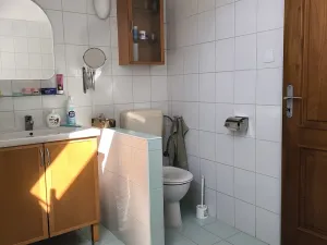 Prodej rodinného domu, Hostěrádky-Rešov, 216 m2