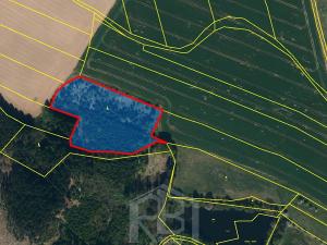 Prodej lesa, Žirovnice, 9999 m2