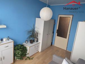 Pronájem bytu 2+kk, Teplice - Trnovany, Jana Koziny, 42 m2