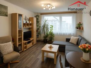 Pronájem bytu 2+kk, Teplice - Trnovany, Jana Koziny, 42 m2