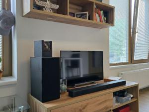 Pronájem bytu 1+kk, Plzeň, Pallova, 31 m2