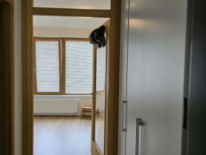 Pronájem bytu 1+kk, Plzeň, Pallova, 31 m2