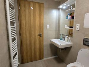 Pronájem bytu 1+kk, Plzeň, Pallova, 31 m2