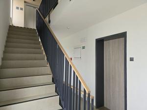 Pronájem bytu 1+kk, Plzeň, Pallova, 31 m2