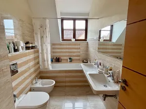 Prodej rodinného domu, Dobřejovice, Nad Mlýnským Rybníkem, 180 m2