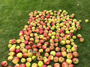 Prodej rodinného domu, Dobřejovice, Nad Mlýnským Rybníkem, 180 m2