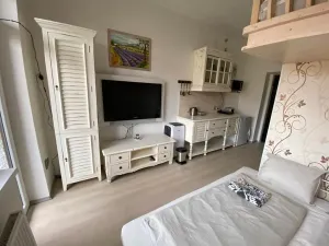 Pronájem bytu 1+kk, Slapy, 22 m2