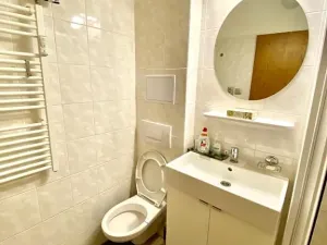 Prodej bytu 1+kk, Slapy, 22 m2