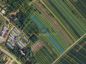 Prodej pole, Vranovice, 1596 m2