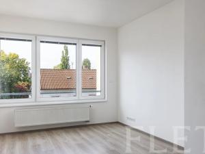 Pronájem bytu 1+kk, Praha - Vršovice, Petrohradská, 41 m2