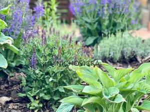 Prodej rodinného domu, Mnichovice, 186 m2