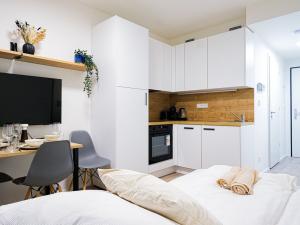 Prodej bytu 1+kk, Praha - Smíchov, Plzeňská, 26 m2