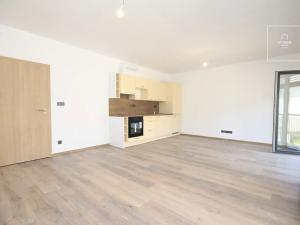 Pronájem bytu 1+kk, Plzeň, Pilařská, 38 m2