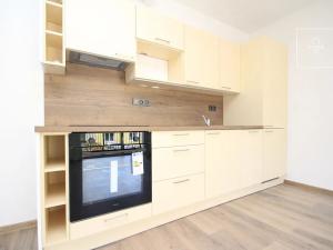 Pronájem bytu 1+kk, Plzeň, Pilařská, 38 m2