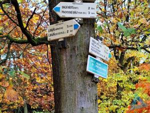 Prodej chaty, Libuň - Březka, 40 m2