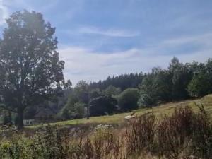 Prodej pozemku pro bydlení, Špindlerův Mlýn, Luční, 20000 m2