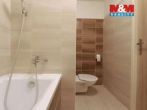 Pronájem bytu 1+1, Ústí nad Labem - Krásné Březno, Rozcestí, 41 m2