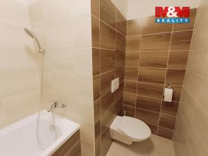 Pronájem bytu 1+1, Ústí nad Labem - Krásné Březno, Rozcestí, 41 m2