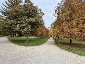 Pronájem bytu 2+1, Šumperk, Kozinova, 70 m2