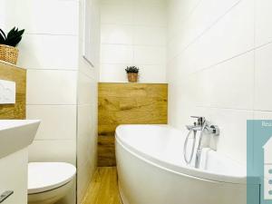 Pronájem bytu 1+1, Kroměříž, Denkova, 36 m2