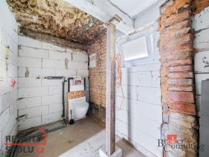 Prodej chalupy, Hrádek, U koupaliště, 110 m2
