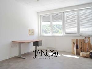 Pronájem kanceláře, Bílovice nad Svitavou, Žižkova, 198 m2