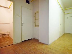 Prodej bytu 2+kk, Praha - Vinohrady, 54 m2