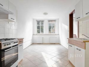 Prodej vícegeneračního domu, Ústí nad Labem, Králova výšina, 300 m2