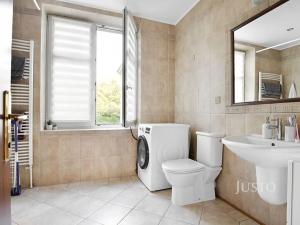 Prodej vícegeneračního domu, Ústí nad Labem, Králova výšina, 300 m2