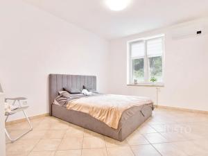 Prodej vícegeneračního domu, Ústí nad Labem, Králova výšina, 300 m2