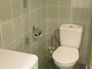 Pronájem bytu 1+kk, Novosedlice, Drahénská, 30 m2