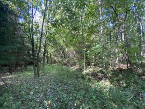 Prodej pozemku, Lánov - Horní Lánov, 1080 m2