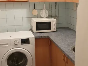Pronájem bytu 1+kk, Teplice, Petra Jilemnického, 30 m2