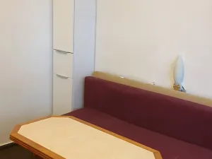 Pronájem bytu 1+kk, Teplice, Petra Jilemnického, 30 m2