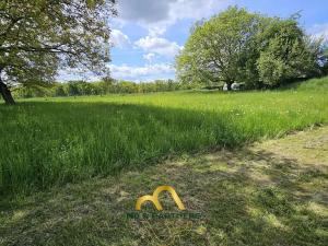 Prodej komerční nemovitosti, Doubravička, 195 m2