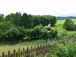 Prodej rodinného domu, Čestice, 320 m2