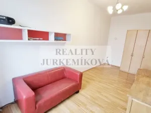 Prodej bytu 1+1, České Budějovice - České Budějovice 3, Riegrova, 45 m2